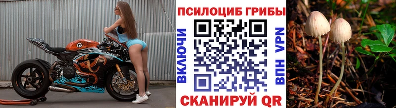 Купить закладки  Козьмодемьянск  Галлюциногенные грибы Cubensis 